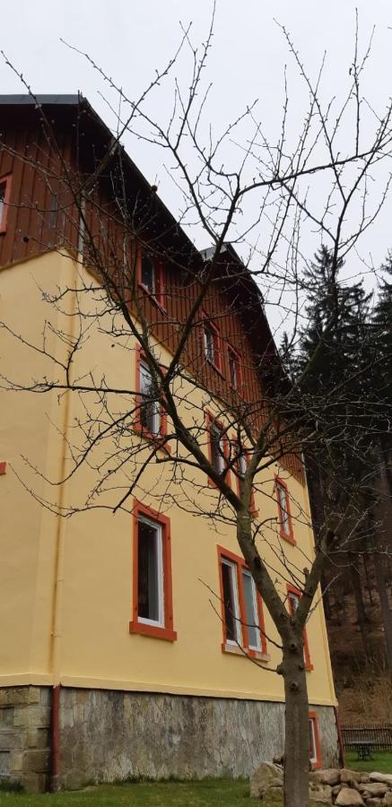 Haus Stefanie Elvire Apartment Altenberg  Exterior foto