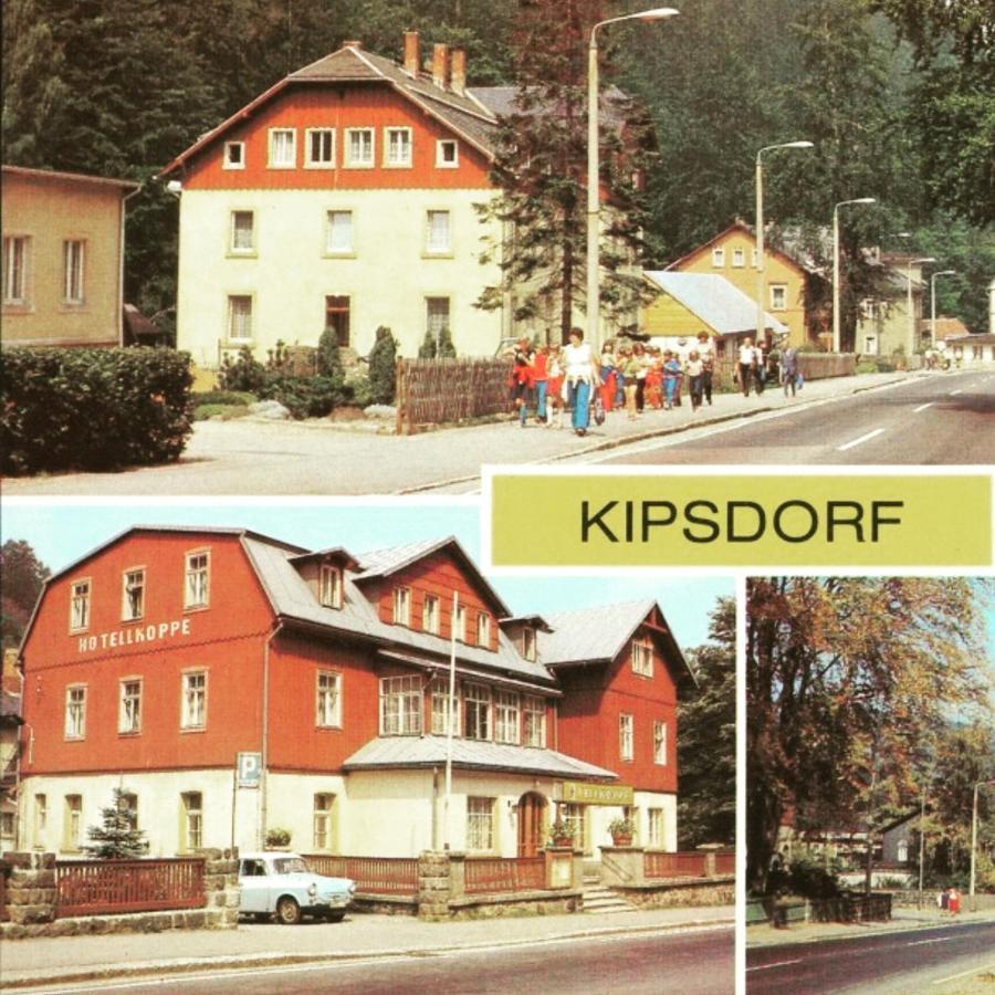 Haus Stefanie Elvire Apartment Altenberg  Exterior foto