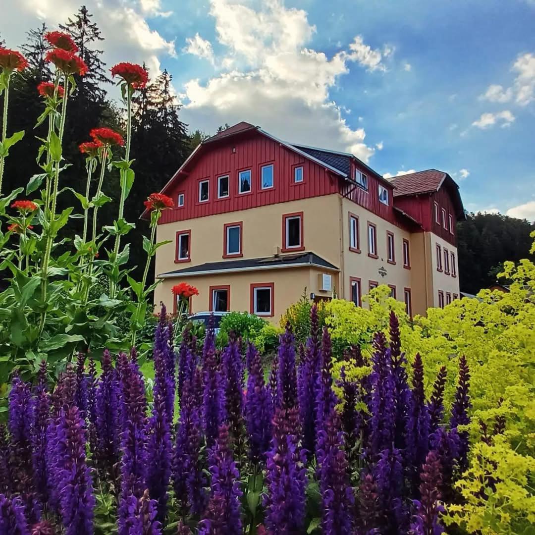 Haus Stefanie Elvire Apartment Altenberg  Exterior foto